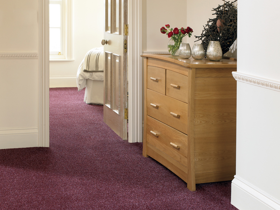 Abingdon Stainfree Carpet